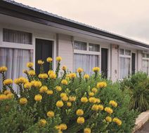 Ace Accommodation Albany Exterior