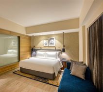 Radisson Hotel Phagwara Room