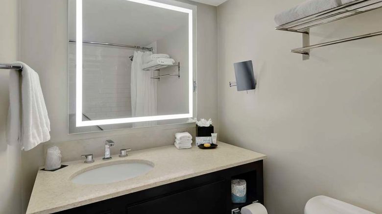 <b>Hotel Tampa Riverwalk Room</b>. Images powered by <a href="https://iceportal.shijigroup.com/" title="IcePortal" target="_blank">IcePortal</a>.