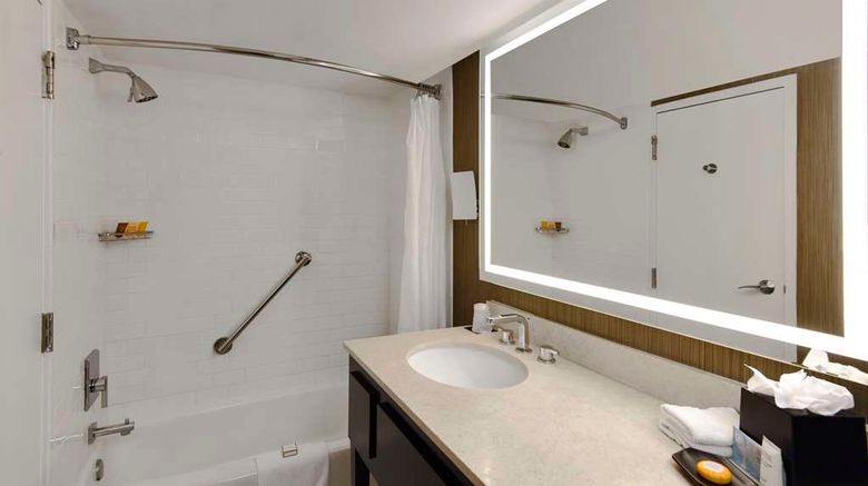 <b>Hotel Tampa Riverwalk Room</b>. Images powered by <a href="https://iceportal.shijigroup.com/" title="IcePortal" target="_blank">IcePortal</a>.