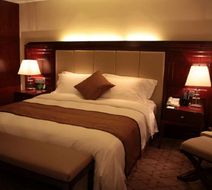 Optics Valley Kingdom Plaza Hotel Room