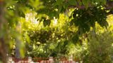 Hotel Lou Pinet Restaurant