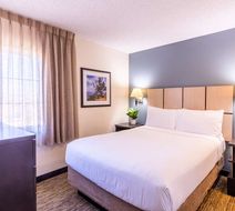 Sonesta Simply Suites Lansing Room