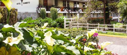Bambito By Faranda Boutique-Radisson Ind Exterior