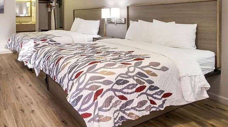<b>Baymont by Wyndham Socorro Room</b>. Images powered by <a href="https://iceportal.shijigroup.com/" title="IcePortal" target="_blank">IcePortal</a>.