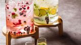 Grand Mercure Lake Hamana Resort & Spa Other