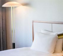 Grand Mercure Minamiboso Resort & Spa Room