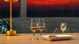 Grand Mercure Okinawa Cape Zanpa Resort Other