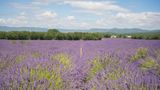 <b>Chateau les Oliviers de Salettes Exterior</b>. Images powered by <a href="https://iceportal.shijigroup.com/" title="IcePortal" target="_blank">IcePortal</a>.