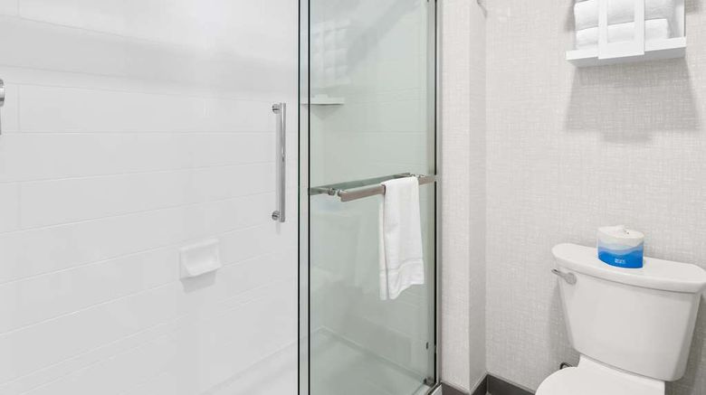 <b>Hampton Inn & Stes Medical District UIC Room</b>. Images powered by <a href="https://iceportal.shijigroup.com/" title="IcePortal" target="_blank">IcePortal</a>.