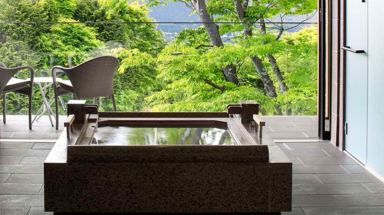 The Hiramatsu Hotel & Resort Sengokuhara Recreation
