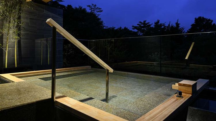 The Hiramatsu Hotel & Resort Sengokuhara Recreation
