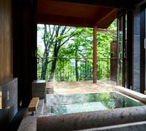The Hiramatsu Karuizawa Miyota Room