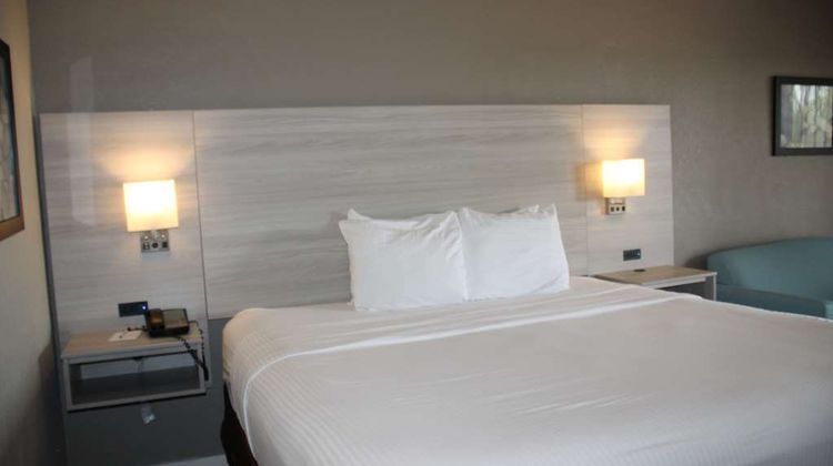Boca Suites, SureStay Collection by BW Room