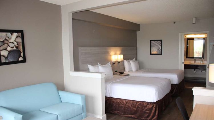 Boca Suites, SureStay Collection by BW Room
