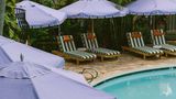 Wayfinder Waikiki Pool