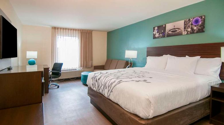 <b>Sleep Inn and Suites Tuscaloosa East Room</b>. Images powered by <a href="https://iceportal.shijigroup.com/" title="IcePortal" target="_blank">IcePortal</a>.