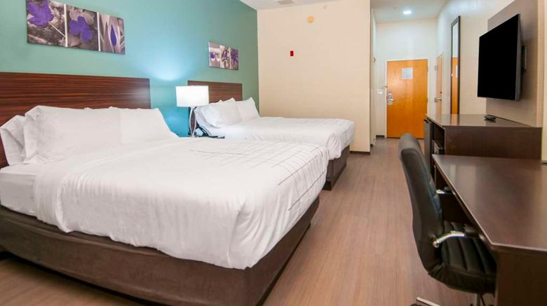 <b>Sleep Inn and Suites Tuscaloosa East Room</b>. Images powered by <a href="https://iceportal.shijigroup.com/" title="IcePortal" target="_blank">IcePortal</a>.