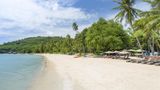 Barcelo Coconut Island Beach