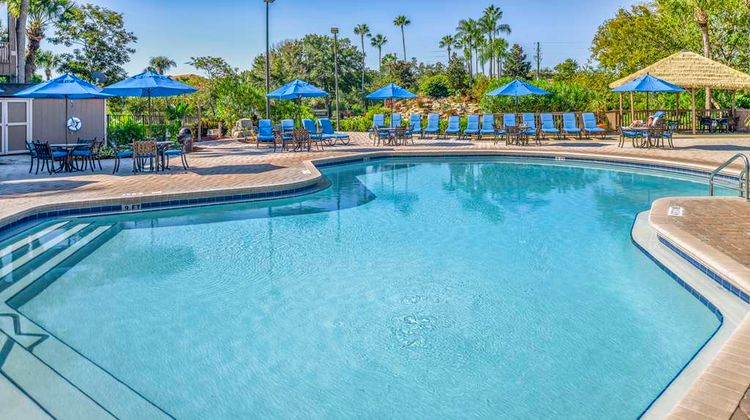 Hilton Vacation Club Polynesian Isles Pool