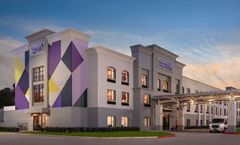 Spark by Hilton Bush Intl Airport