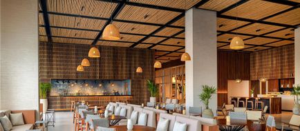 Hyatt Vivid Grand Island Lobby
