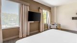 Comfort Suites Downtown-Convention Ctr Room