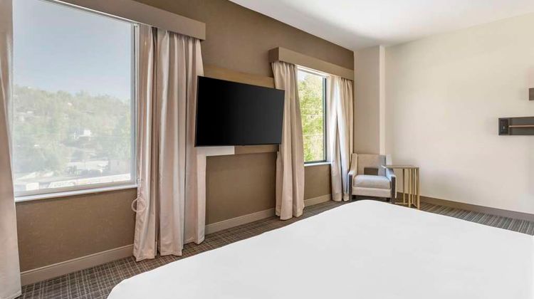 Comfort Suites Downtown-Convention Ctr Room