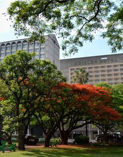 Hyatt Regency Harare The Meikles