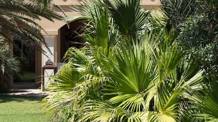 Romano Palace Luxury Hotel Exterior