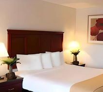 Rodeway Inn Santa Clara El Camino Real Room