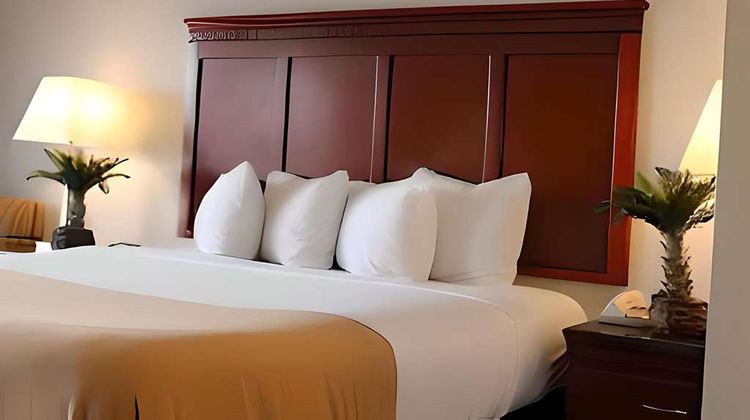 Rodeway Inn Santa Clara El Camino Real Room