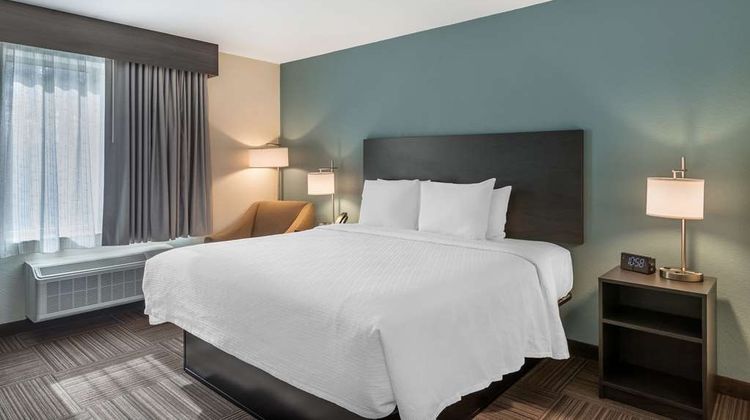 Best Western Plus Bluffton/Hilton Head Room