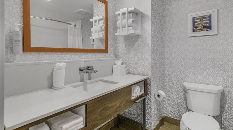 <b>Hampton Inn & Suites by Hilton Decatur Room</b>. Images powered by <a href="https://iceportal.shijigroup.com/" title="IcePortal" target="_blank">IcePortal</a>.