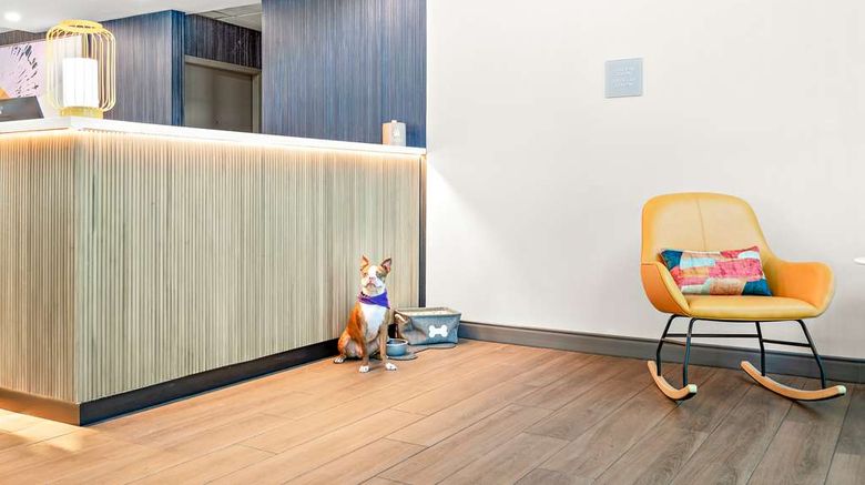 <b>Spark by Hilton Exton Lobby</b>. Images powered by <a href="https://iceportal.shijigroup.com/" title="IcePortal" target="_blank">IcePortal</a>.