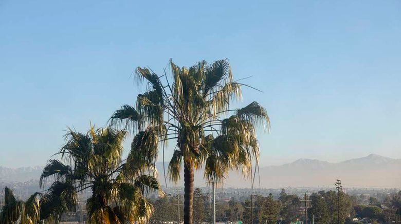 <b>Hilton Garden Inn LAX Los Angeles Airpt Other</b>. Images powered by <a href="https://iceportal.shijigroup.com/" title="IcePortal" target="_blank">IcePortal</a>.