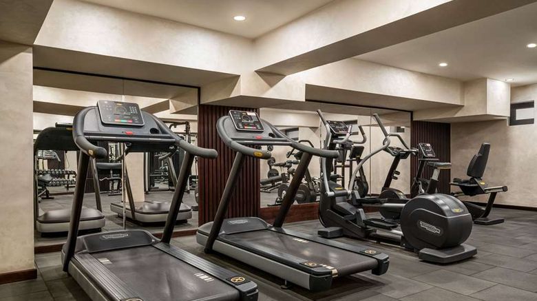 <b>Wyndham Garden Tashkent Health</b>. Images powered by <a href="https://iceportal.shijigroup.com/" title="IcePortal" target="_blank">IcePortal</a>.