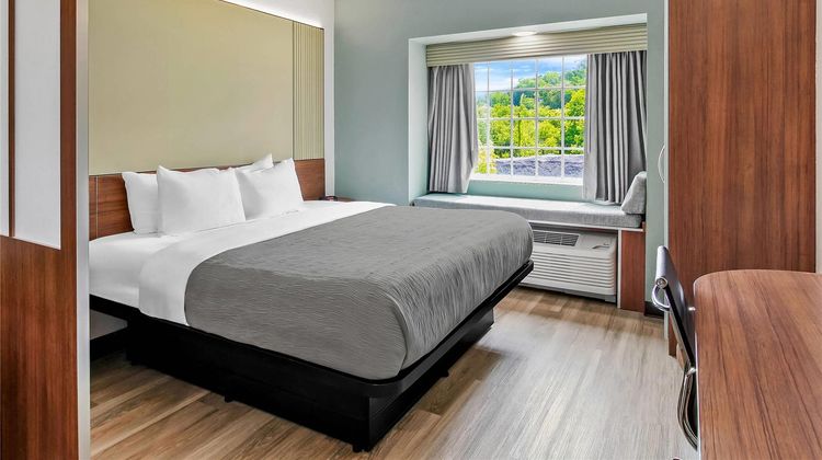 Quality Inn and Suites Washington Suite
