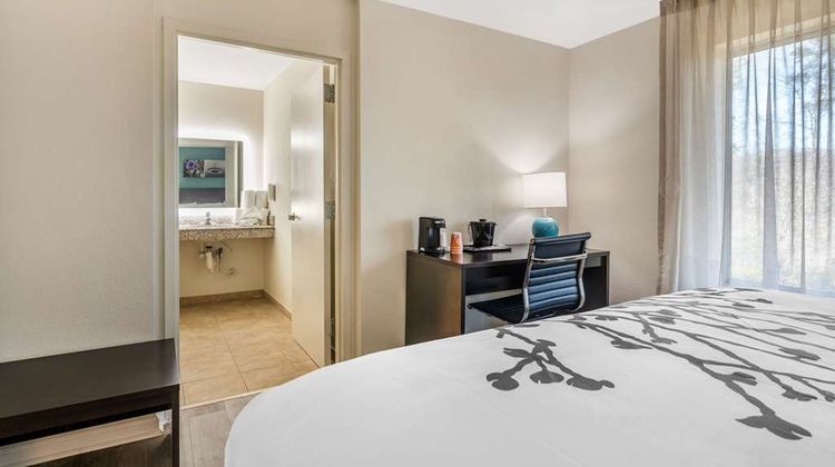 Sleep Inn & Suites Room