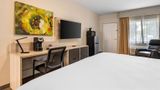 <b>The Bradford Hotel, Ascend Collection Room</b>. Images powered by <a href="https://iceportal.shijigroup.com/" title="IcePortal" target="_blank">IcePortal</a>.