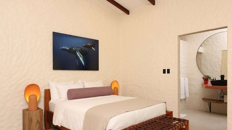 SCP Corcovado Wilderness Lodge Suite