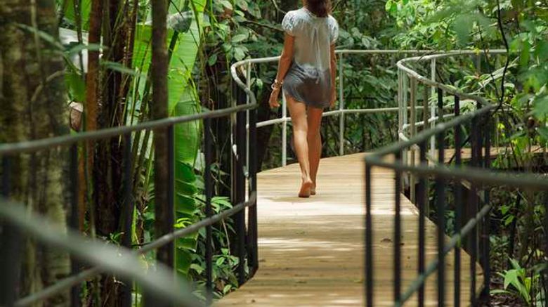 <b>SCP Corcovado Wilderness Lodge Recreation</b>. Images powered by <a href="https://iceportal.shijigroup.com/" title="IcePortal" target="_blank">IcePortal</a>.