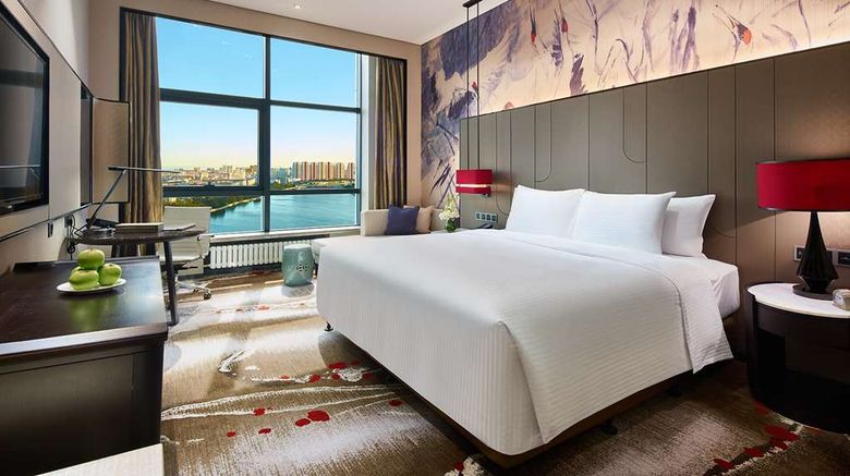 <b>Wanda Realm Qiqihar Room</b>. Images powered by <a href="https://iceportal.shijigroup.com/" title="IcePortal" target="_blank">IcePortal</a>.