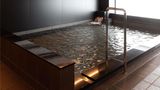 Novotel Nara Spa