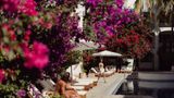 <b>Tropicana Los Cabos, Tapestry Collection Pool</b>. Images powered by <a href="https://iceportal.shijigroup.com/" title="IcePortal" target="_blank">IcePortal</a>.