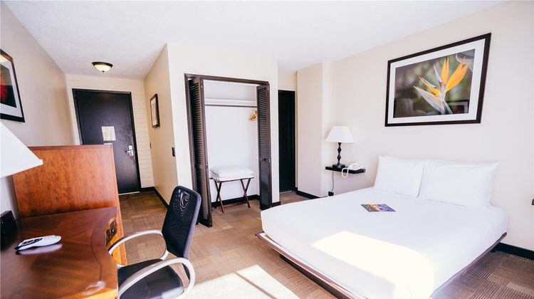 Stay Waikiki Room