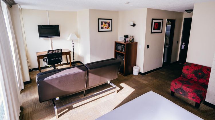 Stay Waikiki Room