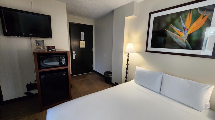 Stay Waikiki Room