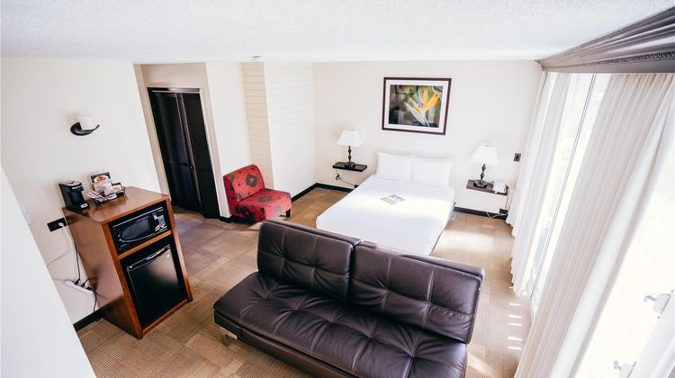 Stay Waikiki Room
