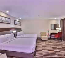 Avari Xpress Gulberg Room